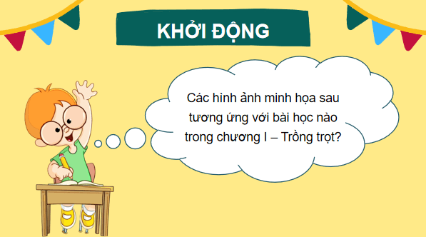 Giáo án điện tử Công nghệ 7 Kết nối tri thức Ôn tập chương 1 | PPT Công nghệ 7