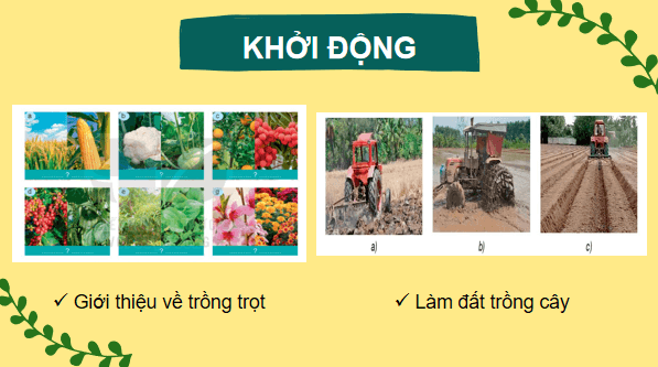 Giáo án điện tử Công nghệ 7 Kết nối tri thức Ôn tập chương 1 | PPT Công nghệ 7