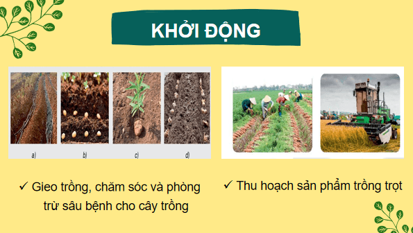Giáo án điện tử Công nghệ 7 Kết nối tri thức Ôn tập chương 1 | PPT Công nghệ 7