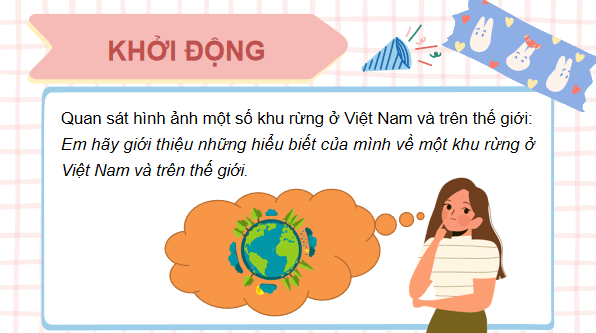 Giáo án điện tử Công nghệ 7 Kết nối tri thức Ôn tập chương 2 | PPT Công nghệ 7