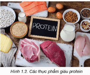 Giáo án Công nghệ 9 Kết nối tri thức Bài 1: Thành phần dinh dưỡng trong thực phẩm