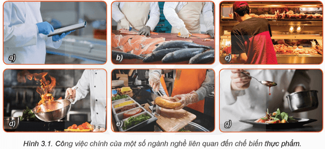 Giáo án Công nghệ 9 Kết nối tri thức Bài 3: Một số ngành nghề liên quan đến chế biến thực phẩm