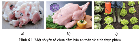 Giáo án Công nghệ 9 Cánh diều Bài 6: An toàn vệ sinh thực phẩm