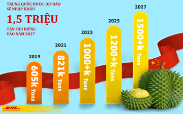 Giáo án Công nghệ 9 Kết nối tri thức Bài 6: Kĩ thuật trồng và chăm sóc cây sầu riêng