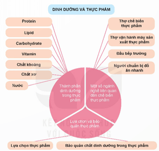 Giáo án Công nghệ 9 Kết nối tri thức Ôn tập Chương 1