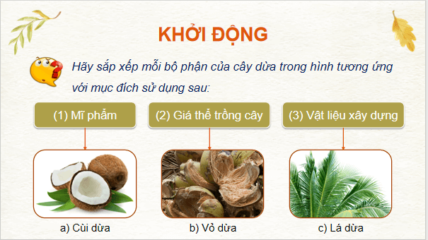 Giáo án điện tử Công nghệ 9 Cánh diều Bài 1: Đặc điểm chung của cây ăn quả | PPT Công nghệ 9