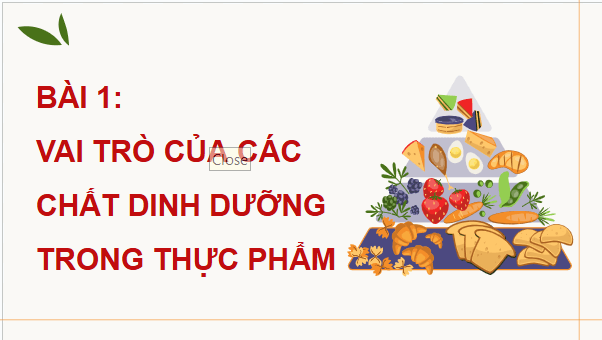 Giáo án điện tử Công nghệ 9 Cánh diều Bài 1: Vai trò của các chất dinh dưỡng trong thực phẩm | PPT Công nghệ 9