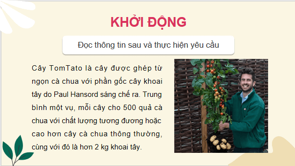 Giáo án điện tử Công nghệ 9 Cánh diều Bài 2: Nhân giống vô tính cây ăn quả và thực hành nhân giống cây ăn quả bằng phương pháp ghép đoạn cành | PPT Công nghệ 9