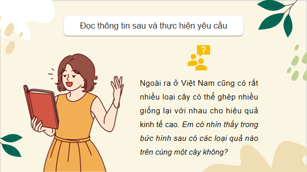 Giáo án điện tử Công nghệ 9 Cánh diều Bài 2: Nhân giống vô tính cây ăn quả và thực hành nhân giống cây ăn quả bằng phương pháp ghép đoạn cành | PPT Công nghệ 9