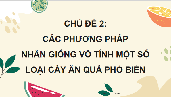 Giáo án điện tử Công nghệ 9 Cánh diều Bài 2: Nhân giống vô tính cây ăn quả và thực hành nhân giống cây ăn quả bằng phương pháp ghép đoạn cành | PPT Công nghệ 9