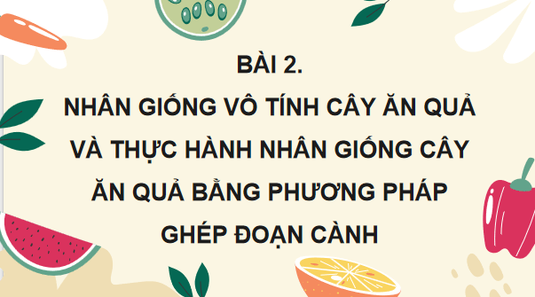 Giáo án điện tử Công nghệ 9 Cánh diều Bài 2: Nhân giống vô tính cây ăn quả và thực hành nhân giống cây ăn quả bằng phương pháp ghép đoạn cành | PPT Công nghệ 9