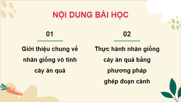 Giáo án điện tử Công nghệ 9 Cánh diều Bài 2: Nhân giống vô tính cây ăn quả và thực hành nhân giống cây ăn quả bằng phương pháp ghép đoạn cành | PPT Công nghệ 9