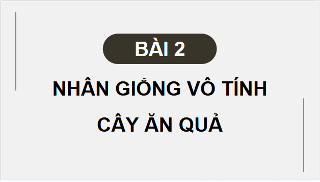 Giáo án điện tử Công nghệ 9 Kết nối tri thức Bài 2: Nhân giống vô tính cây ăn quả | PPT Công nghệ 9