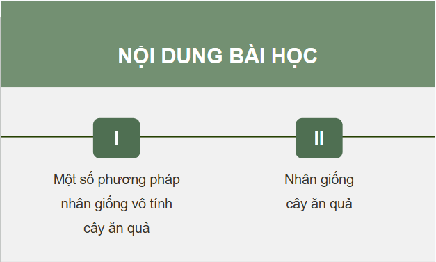 Giáo án điện tử Công nghệ 9 Kết nối tri thức Bài 2: Nhân giống vô tính cây ăn quả | PPT Công nghệ 9