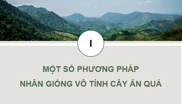 Giáo án điện tử Công nghệ 9 Kết nối tri thức Bài 2: Nhân giống vô tính cây ăn quả | PPT Công nghệ 9