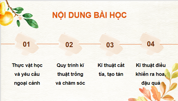 Giáo án điện tử Công nghệ 9 Kết nối tri thức Bài 3: Kĩ thuật trồng và chăm sóc cây ăn quả có múi | PPT Công nghệ 9