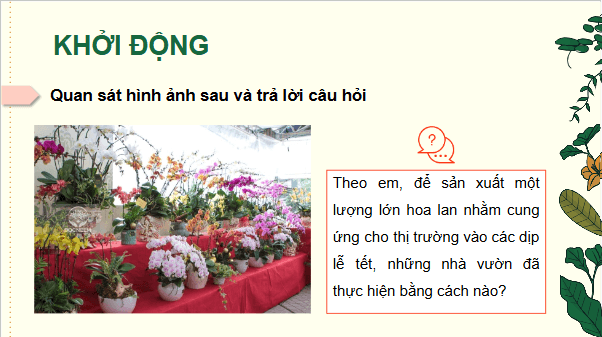 Giáo án điện tử Công nghệ 9 Cánh diều Bài 3: Thực hành nhân giống cây ăn quả bằng phương pháp giâm cành | PPT Công nghệ 9