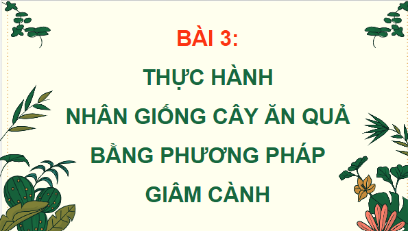 Giáo án điện tử Công nghệ 9 Cánh diều Bài 3: Thực hành nhân giống cây ăn quả bằng phương pháp giâm cành | PPT Công nghệ 9