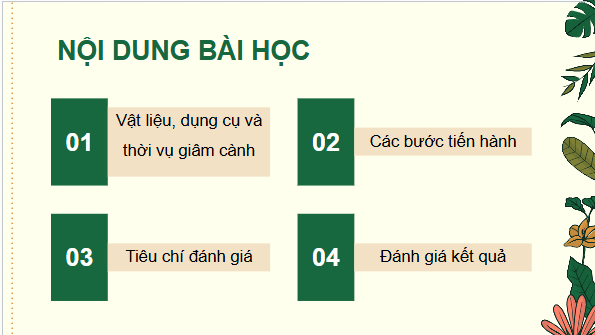 Giáo án điện tử Công nghệ 9 Cánh diều Bài 3: Thực hành nhân giống cây ăn quả bằng phương pháp giâm cành | PPT Công nghệ 9