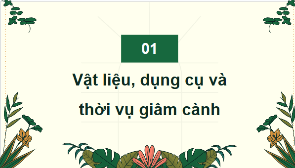 Giáo án điện tử Công nghệ 9 Cánh diều Bài 3: Thực hành nhân giống cây ăn quả bằng phương pháp giâm cành | PPT Công nghệ 9