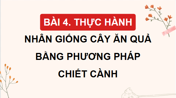 Giáo án điện tử Công nghệ 9 Cánh diều Bài 4: Thực hành nhân giống cây ăn quả bằng phương pháp chiết cành | PPT Công nghệ 9