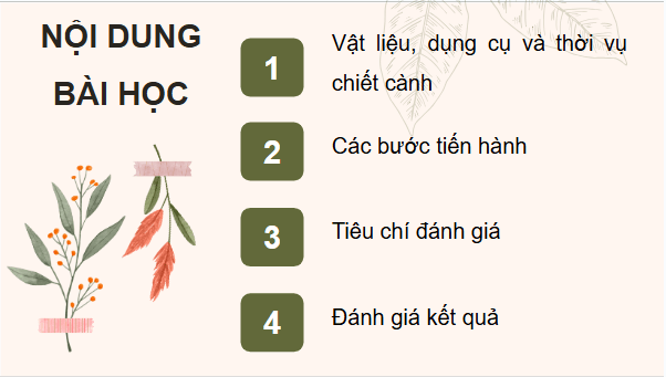 Giáo án điện tử Công nghệ 9 Cánh diều Bài 4: Thực hành nhân giống cây ăn quả bằng phương pháp chiết cành | PPT Công nghệ 9