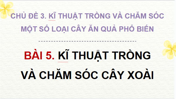 Giáo án điện tử Công nghệ 9 Cánh diều Bài 5: Kĩ thuật trồng và chăm sóc cây xoài | PPT Công nghệ 9