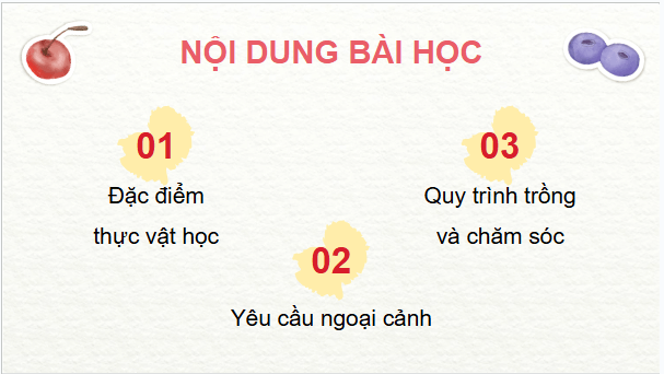 Giáo án điện tử Công nghệ 9 Cánh diều Bài 5: Kĩ thuật trồng và chăm sóc cây xoài | PPT Công nghệ 9