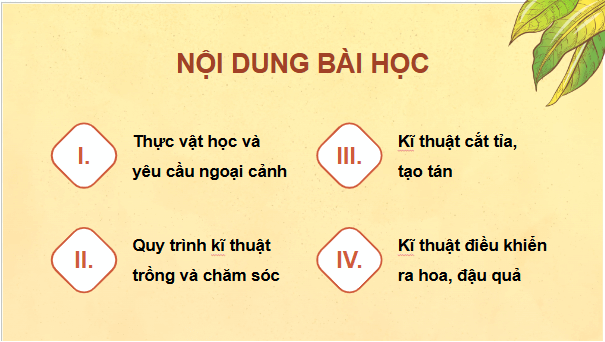 Giáo án điện tử Công nghệ 9 Kết nối tri thức Bài 5: Kĩ thuật trồng và chăm sóc cây xoài | PPT Công nghệ 9