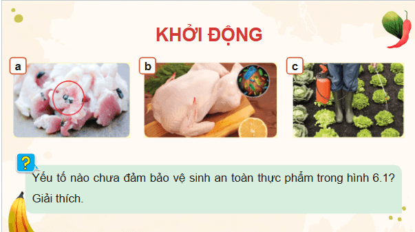 Giáo án điện tử Công nghệ 9 Cánh diều Bài 6: An toàn vệ sinh thực phẩm | PPT Công nghệ 9