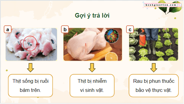 Giáo án điện tử Công nghệ 9 Cánh diều Bài 6: An toàn vệ sinh thực phẩm | PPT Công nghệ 9