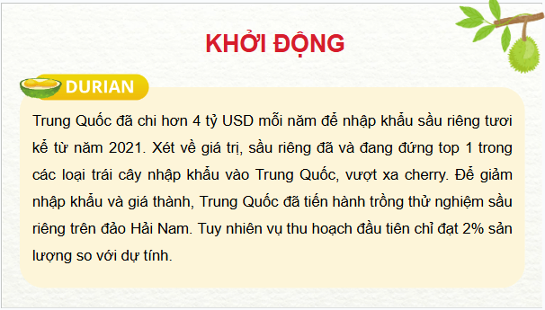 Giáo án điện tử Công nghệ 9 Kết nối tri thức Bài 6: Kĩ thuật trồng và chăm sóc cây sầu riêng | PPT Công nghệ 9