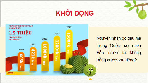 Giáo án điện tử Công nghệ 9 Kết nối tri thức Bài 6: Kĩ thuật trồng và chăm sóc cây sầu riêng | PPT Công nghệ 9