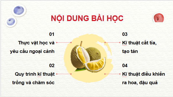 Giáo án điện tử Công nghệ 9 Kết nối tri thức Bài 6: Kĩ thuật trồng và chăm sóc cây sầu riêng | PPT Công nghệ 9