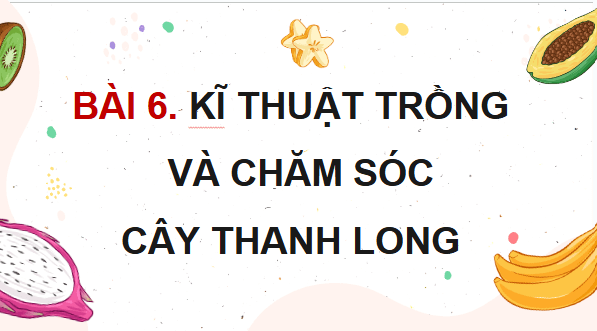 Giáo án điện tử Công nghệ 9 Cánh diều Bài 6: Kĩ thuật trồng và chăm sóc cây thanh long | PPT Công nghệ 9