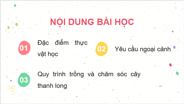 Giáo án điện tử Công nghệ 9 Cánh diều Bài 6: Kĩ thuật trồng và chăm sóc cây thanh long | PPT Công nghệ 9