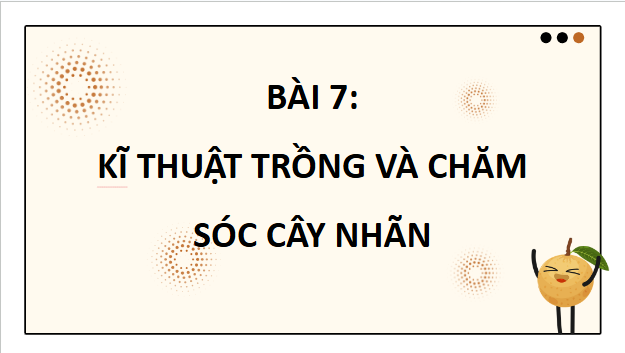 Giáo án điện tử Công nghệ 9 Cánh diều Bài 7: Kĩ thuật trồng và chăm sóc cây nhãn | PPT Công nghệ 9