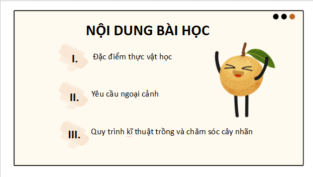 Giáo án điện tử Công nghệ 9 Cánh diều Bài 7: Kĩ thuật trồng và chăm sóc cây nhãn | PPT Công nghệ 9