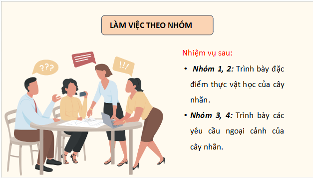 Giáo án điện tử Công nghệ 9 Cánh diều Bài 7: Kĩ thuật trồng và chăm sóc cây nhãn | PPT Công nghệ 9