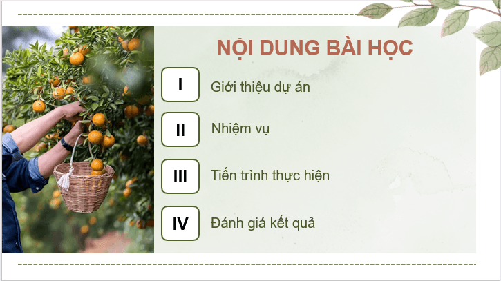 Giáo án điện tử Công nghệ 9 Kết nối tri thức Bài 8: Dự án: Trồng cây ăn quả | PPT Công nghệ 9