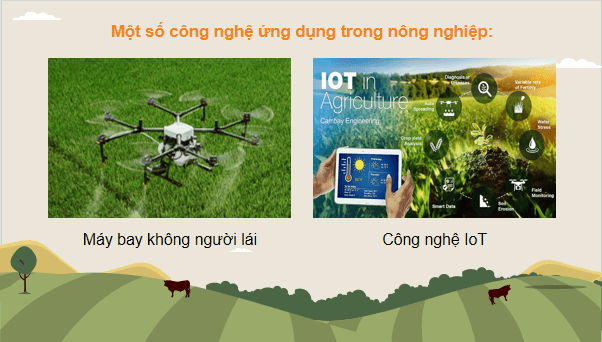 Giáo án điện tử Công nghệ 9 Chân trời sáng tạo Chủ đề 1: Mô hình nông nghiệp công nghệ cao | PPT Công nghệ 9