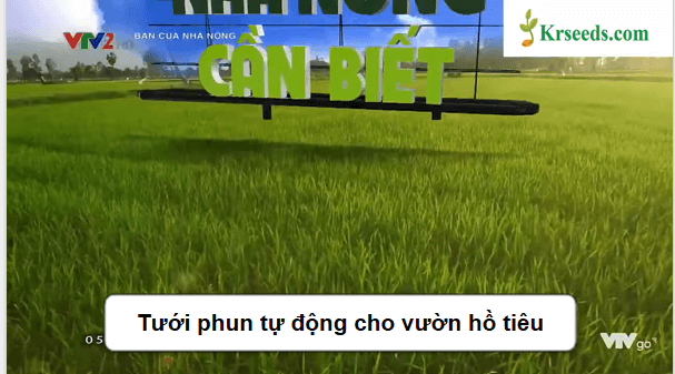 Giáo án điện tử Công nghệ 9 Chân trời sáng tạo Chủ đề 3: Thiết kế mạch điện ứng dụng công nghệ tưới tiêu tự động trong trồng trọt | PPT Công nghệ 9