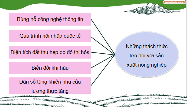 Giáo án điện tử Công nghệ 9 Chân trời sáng tạo Chủ đề 5: Xu thế phát triển của nền nông nghiệp công nghệ cao | PPT Công nghệ 9