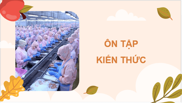 Giáo án điện tử Công nghệ 9 Kết nối tri thức Ôn tập Chương 2 | PPT Công nghệ 9