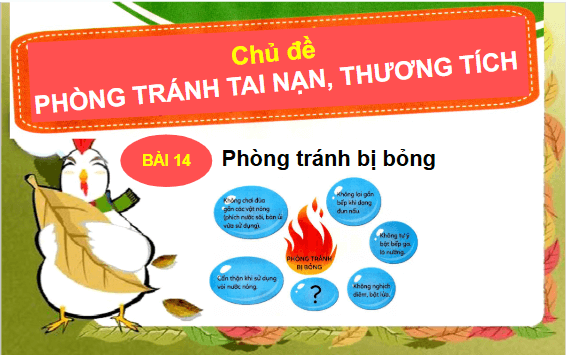 Giáo án điện tử Đạo đức lớp 1 Cánh diều Bài 14: Phòng tránh bị bỏng | PPT Đạo đức lớp 1