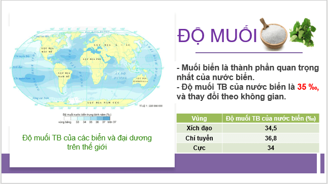 Giáo án điện tử Địa Lí 10 Cánh diều Bài 11: Nước biển và đại dương | PPT Địa 10