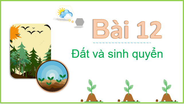 Giáo án điện tử Địa Lí 10 Cánh diều Bài 12: Đất và sinh quyển | PPT Địa 10