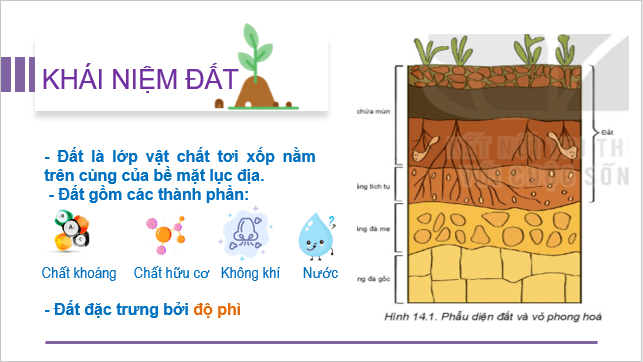 Giáo án điện tử Địa Lí 10 Cánh diều Bài 12: Đất và sinh quyển | PPT Địa 10