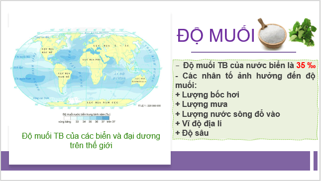 Giáo án điện tử Địa Lí 10 Kết nối tri thức Bài 12: Nước biển và đại dương | PPT Địa 10