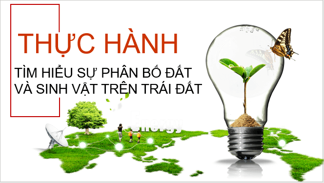 Giáo án điện tử Địa Lí 10 Cánh diều Bài 13: Thực hành: Phân tích bản đồ, sơ đồ về phân bố của đất và sinh vật trên thế giới | PPT Địa 10